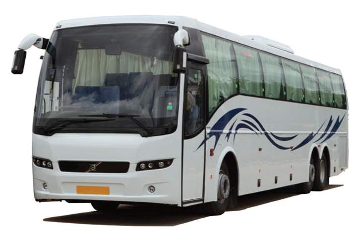 Peptrack GPS Tracking